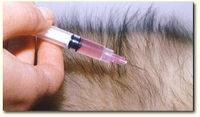 Vaccines for animals have been in use for decades.